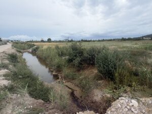 IMG_0442